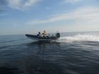 Solent Rib 6.90